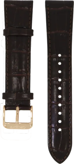 Orient Brown Leather Strap 21mm UL002011P0